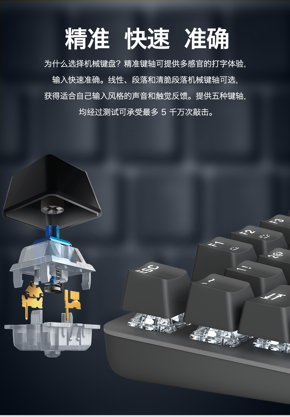 圖片_10.jpg
